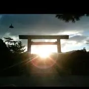 こっこ【月はじめセール中★おまとめOK】の画像