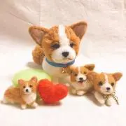 コーギー