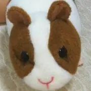 ミッケイの画像