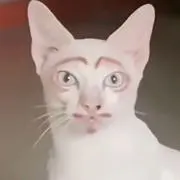 OK