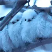 水の画像