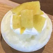 ニコの画像