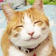 マードック