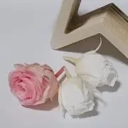 naomikan【プロフ読んで下さいの画像