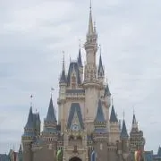 はせの画像