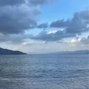 ひつじまぶし