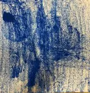 ニコの画像