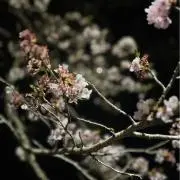 みゆ◡̈*