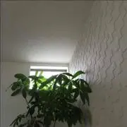 ラムヒロの画像