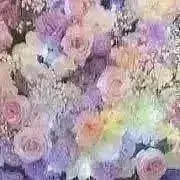 ☆☆　発送方法・値下げはプロフ必読の画像