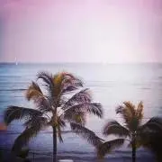 Chill.5の画像