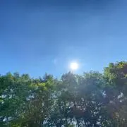 どんちゃん