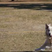 ここならの画像