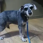 ようこ