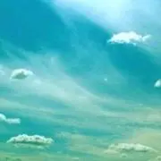 yy