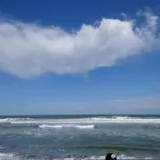 ♡断捨離中♡ショコラ♡の画像