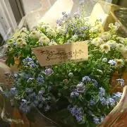 みっちゃん