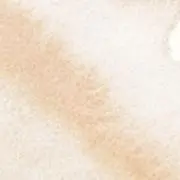 だんごの画像
