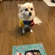 はにたん