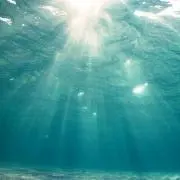 ishiの画像