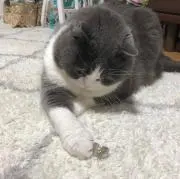 サュカン