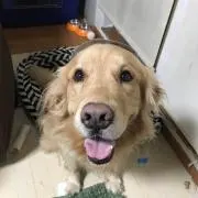 まりも(✿╹◡╹)ノ
