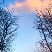New moonの画像