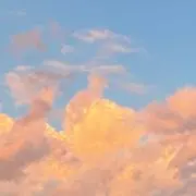 TAの画像