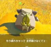 ななし