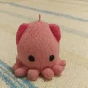 くーの画像