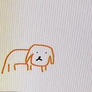 ゆー！！【値下げ不可】の画像