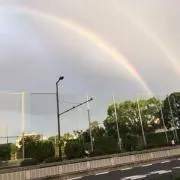 オレンジの画像