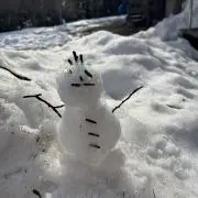 このはの画像