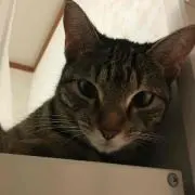 なお