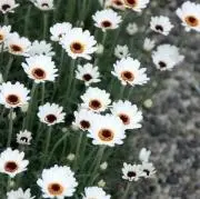 iti.goの画像