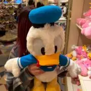 みにちゅあ《プロフ必読》の画像