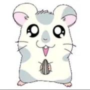 こうしくんの画像