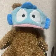 Takeshiの画像