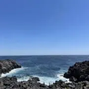 Andyの画像