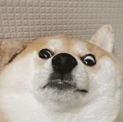 あの画像