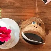 maの画像