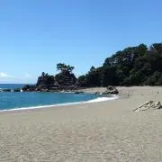 HAの画像