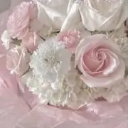 ぴよの画像