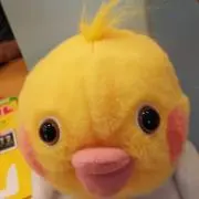 どら☆ちゃんの画像