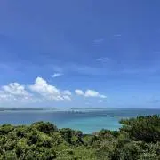 SAKIの画像