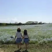 はまの画像