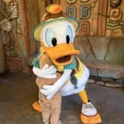 ちみの画像