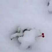 あとね　ぜひご覧ください(「⌒.⌒」)の画像