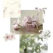 every ♡の画像