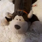 さまさまの画像